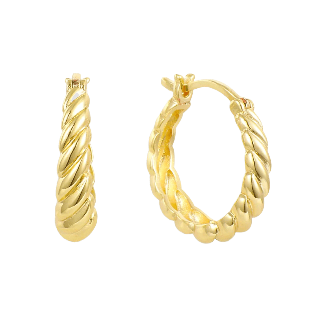 Twist Style Twisted Earrings